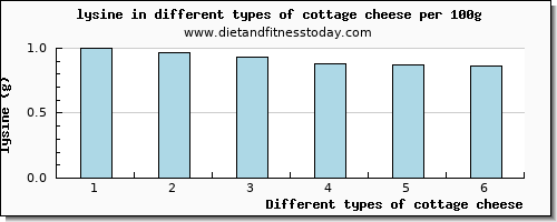 cottage cheese lysine per 100g